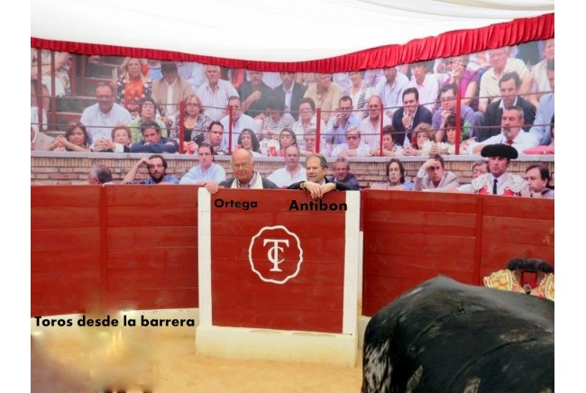 Imagen 16 de Semblanza
