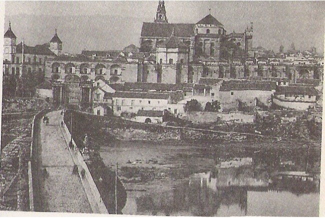 Imagen 8 de Buenas Costumbres (José Ortega)