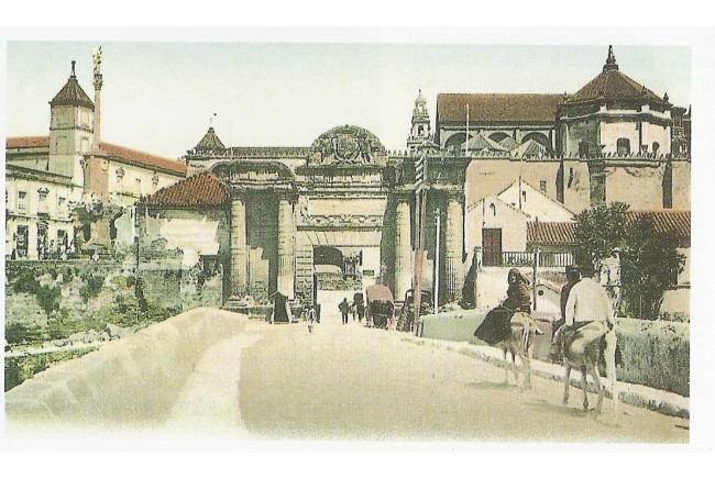 Imagen 9 de Buenas Costumbres (José Ortega)