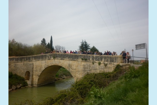 Imagen 10 de Excursión por Tierras de Palencia